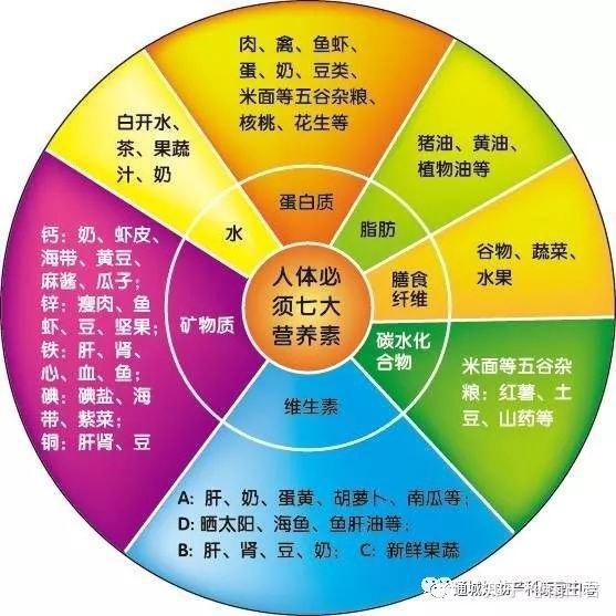 人体必须的七大营养素