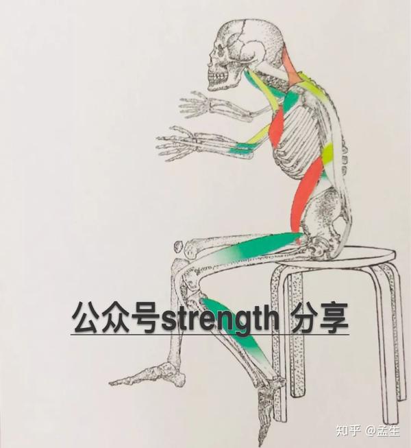 神奇的螺旋链——与生俱来的运动铰链