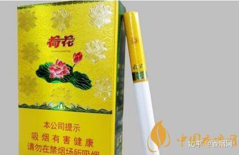 荷花(金一品)