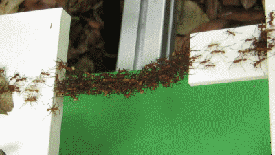 400_225gif 动态图 动图