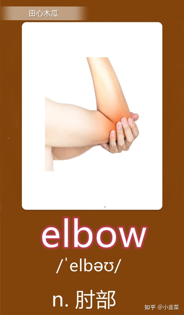 elbow(肘部)