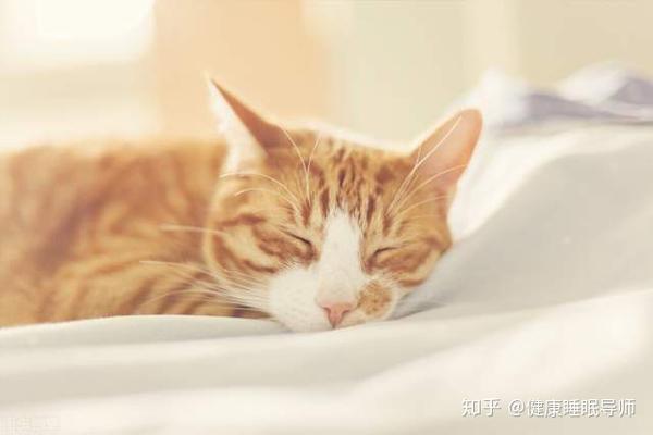 一个人在睡觉时,睡眠纺锤波频次是不会出现多大变化的,哪怕外面比较吵