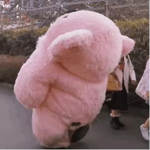 可爱粉色熊考拉表情包
