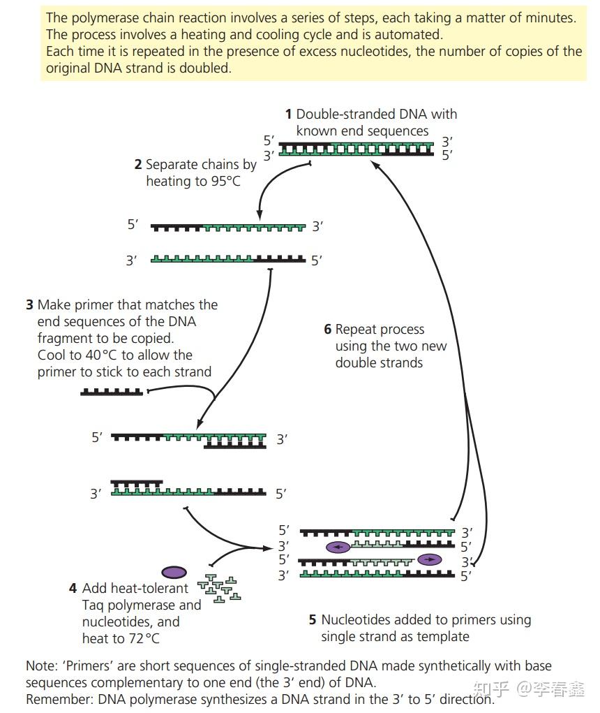 topic35geneticmodificationandbiotechnology