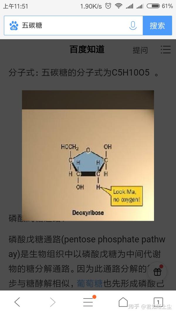 这东西里面呢有个结构叫脱氧核糖又名五碳糖,名字里就有个碳,肯定是有