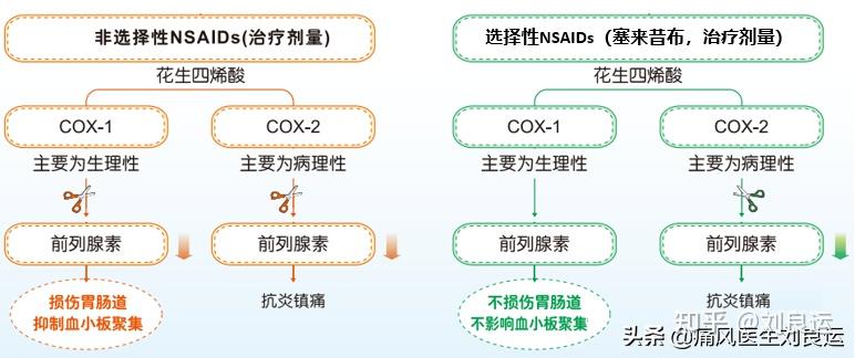 关节肿胀疼痛就用非甾体抗炎药不当使用伤心伤肾伤肝又伤胃