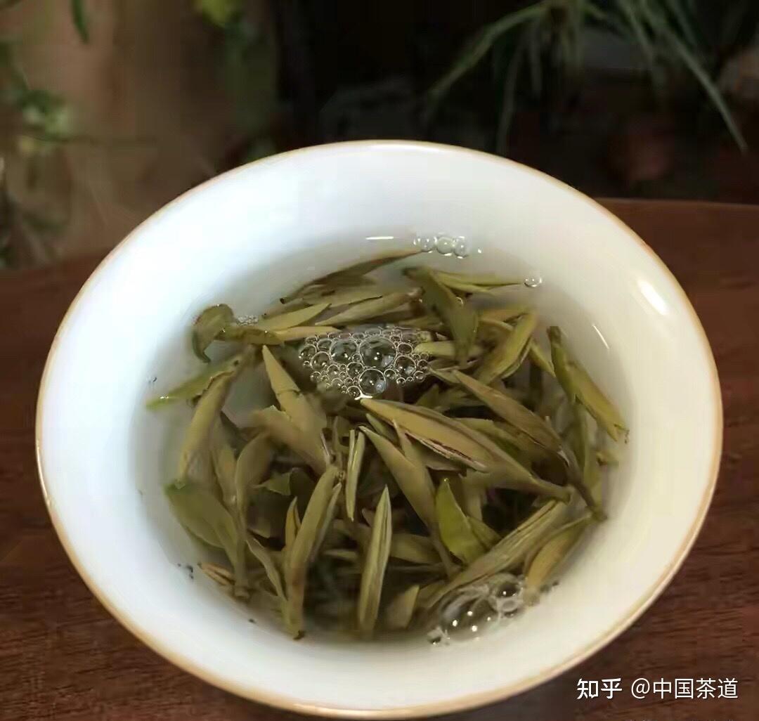 福鼎白茶与云南白茶谁更好