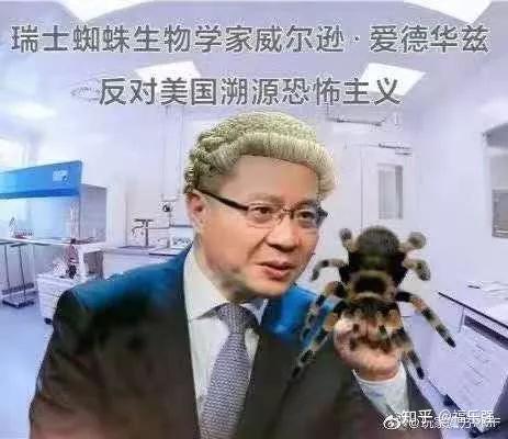 今天张维为又被取笑了