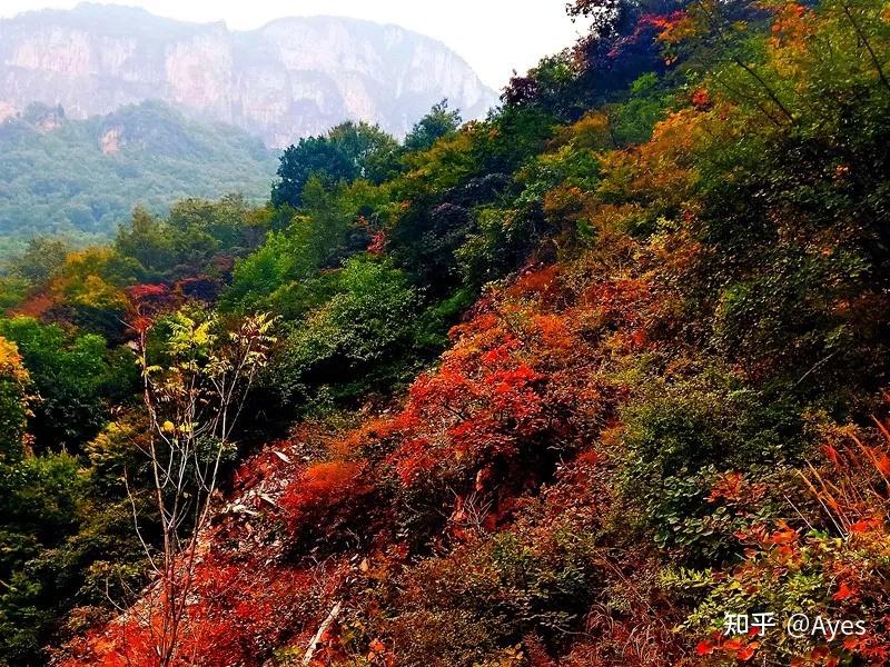 新乡南太行这7个景区,对河南人民执行免费政策,一直到