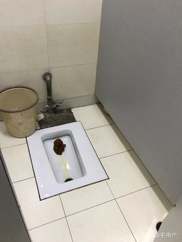 公共厕所,脚踩的还不愿意蹬一下吗?留那么一大坨恶心谁呢?