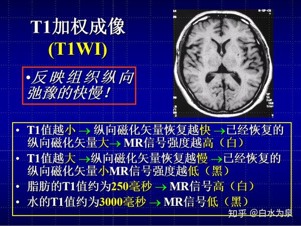 磁共振t1t2弛豫如何同步发生和分别采集