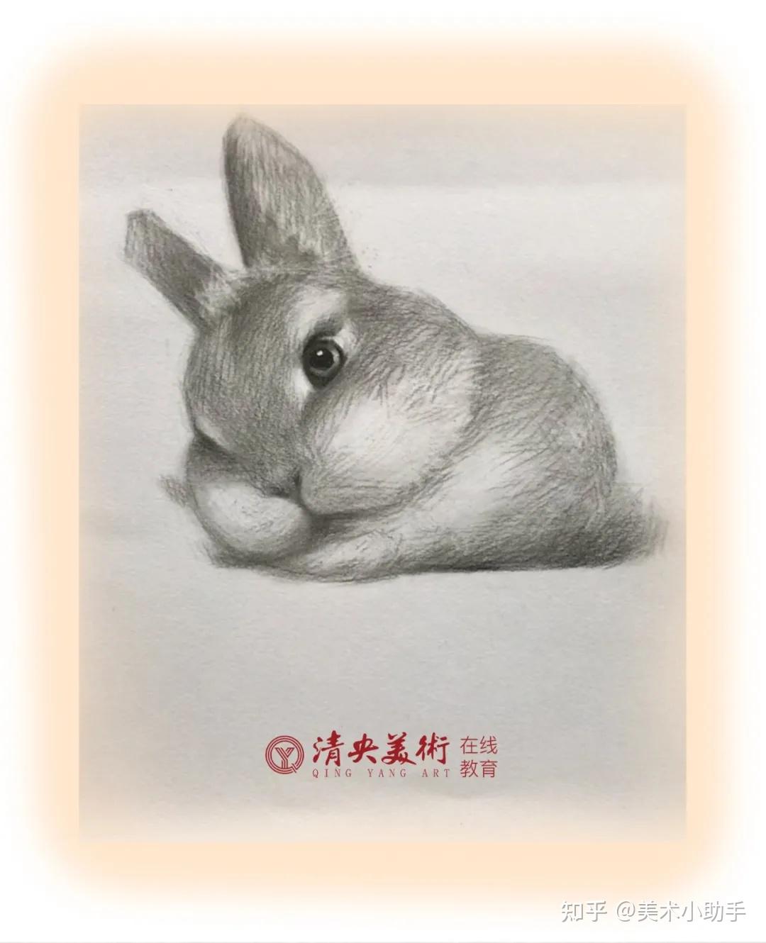 清央在线清央名师教你如何画一只可爱的小萌兔
