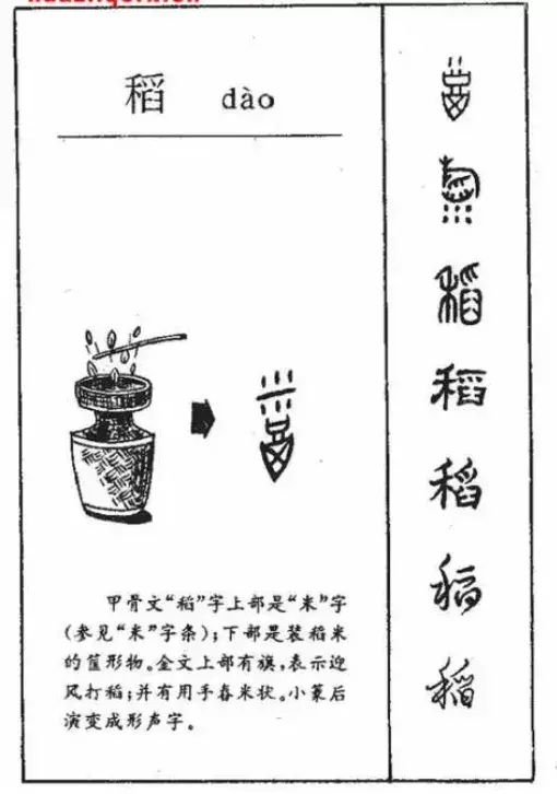 而且也有古汉语学家考证出中国种水稻的历史悠久,商代的时候甲骨文里
