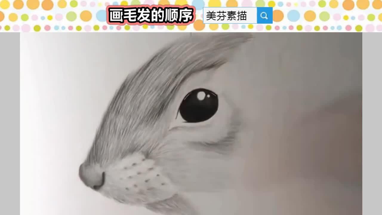 画素描小动物的时候,怎么画出毛茸茸的毛的质感?