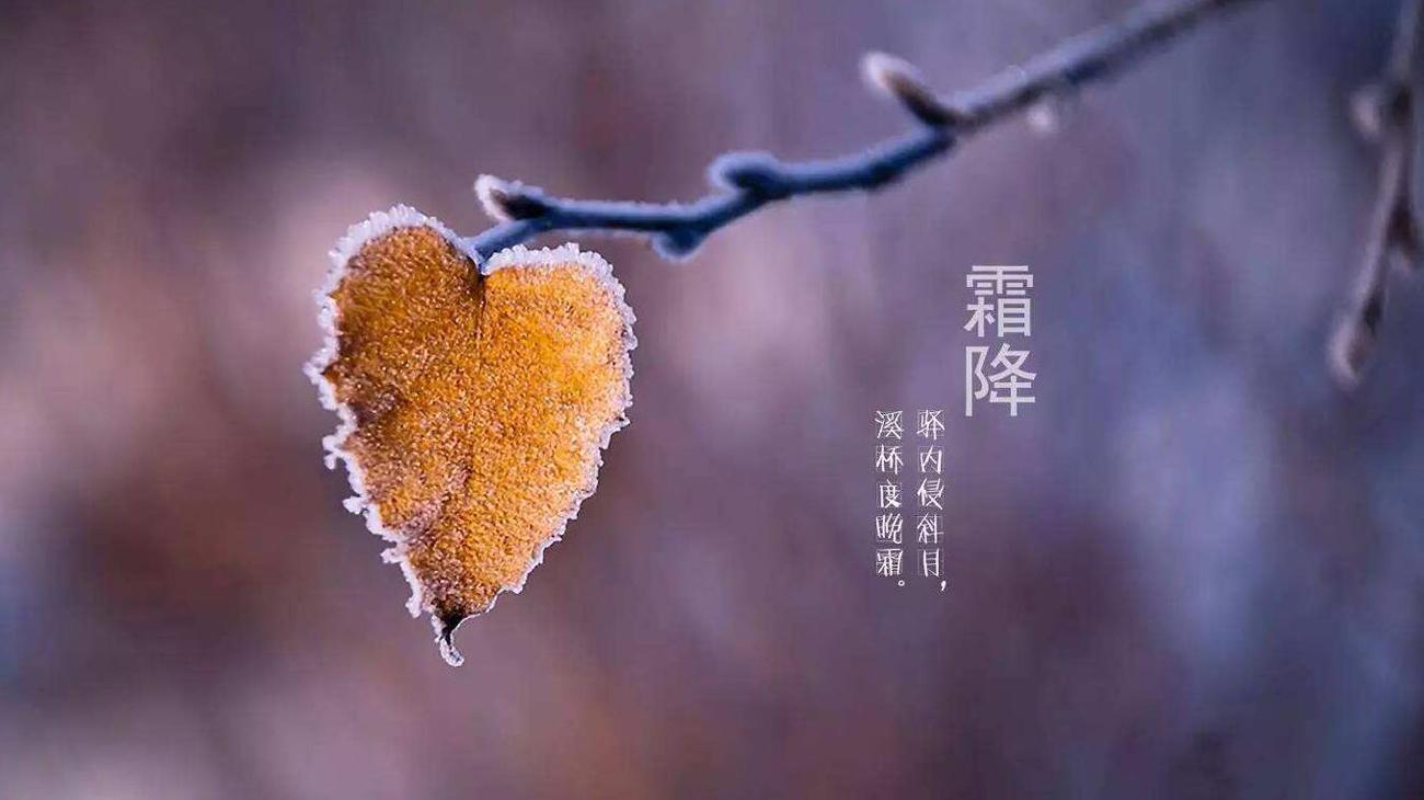 开始了入冬的准备,这个节气更 需要我们表达一份霜降节气的祝福问候