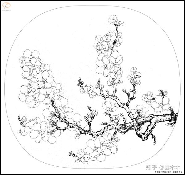 宋小品临宋写生杏花图尺寸3535cm国画工笔绘画步骤图