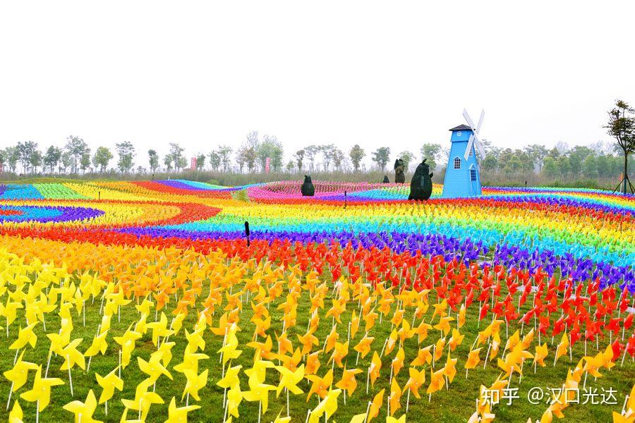 图集洪湖金湾花海的风车景观先看图再去逛景