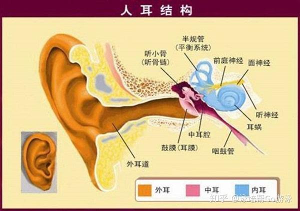 科学的讲,水在进入狭窄的外耳道后由于张力形成屏障,把外耳道分成两