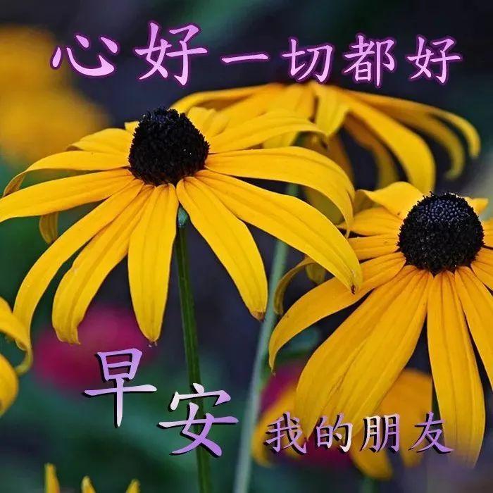 2,有个人,你一上线就会看他在不在,不在就一阵失落,在又不敢打扰;有