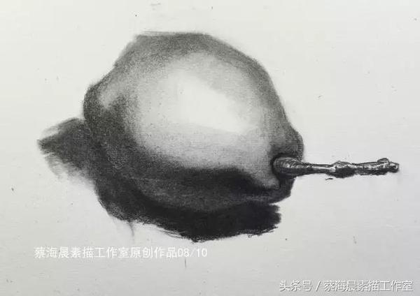 蔡海晨素描步骤稿11素描鸭梨的画法