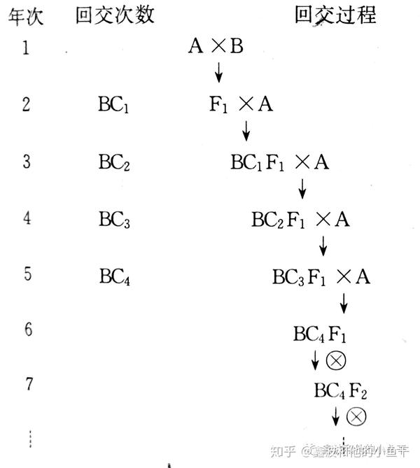 通常需要进行多次,通过回交所产生的后代称为回交杂种;回交过程中屡次