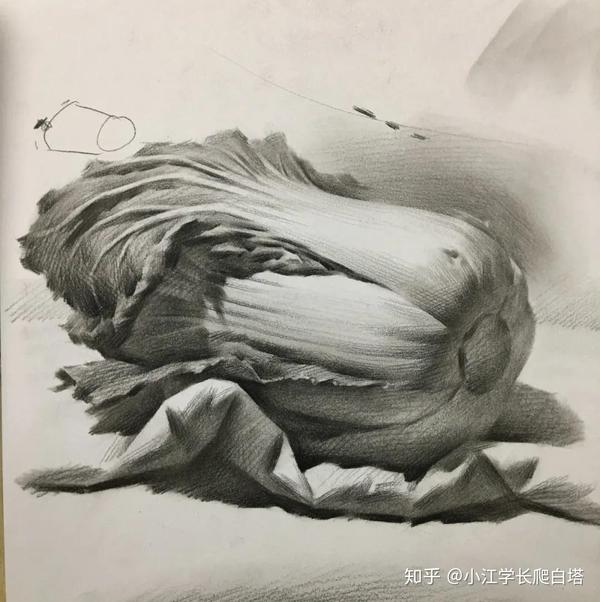 沈阳白塔岭教你画素描,几组单体静物素描绘画教程你学会了吗?