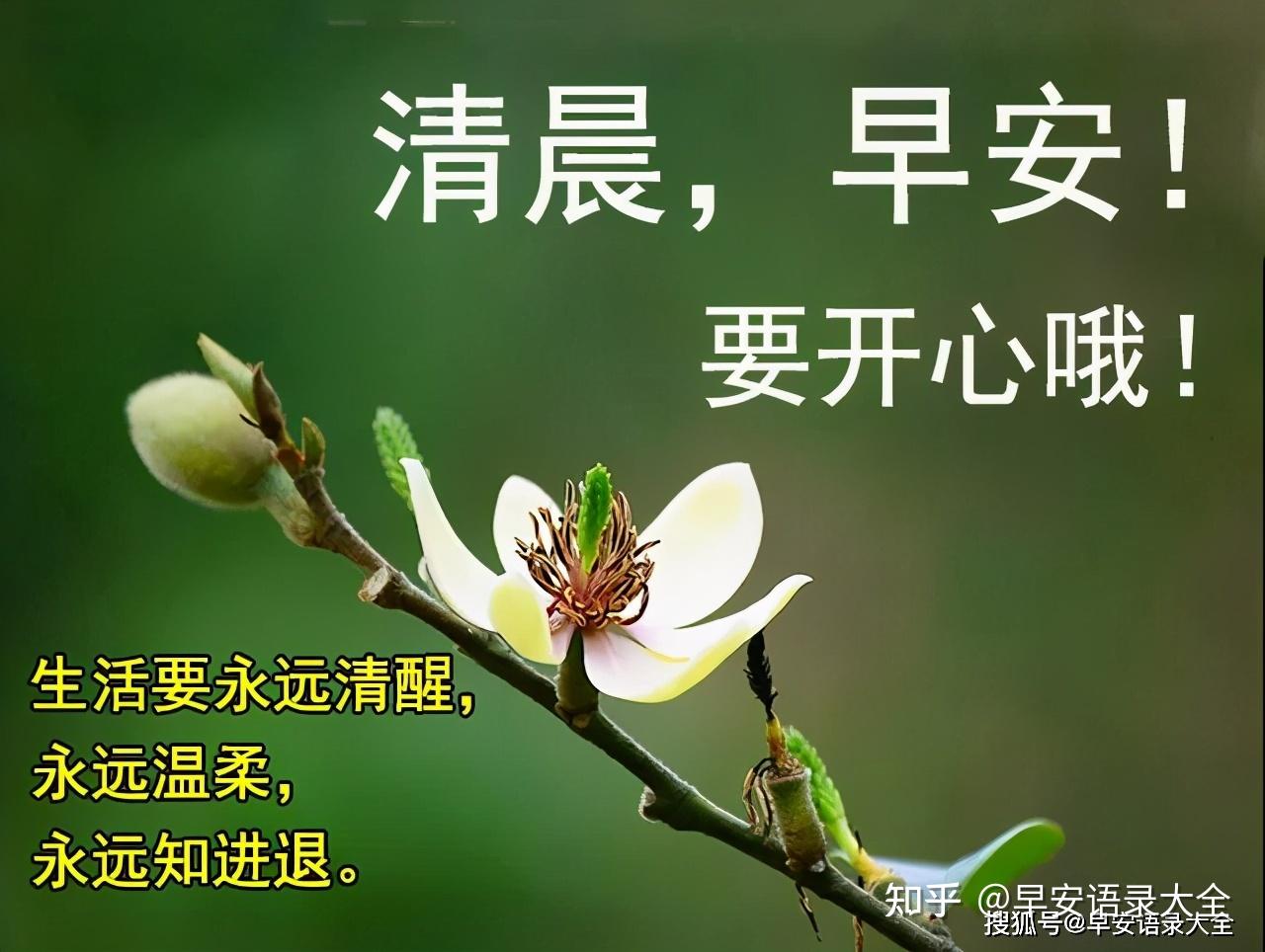 2021年6月5日星期六芒种清晨早上好问候祝福表情图片