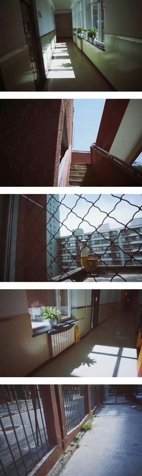 身边的同学们都在奋笔疾书,阳光洒进教室,美好的不得了.