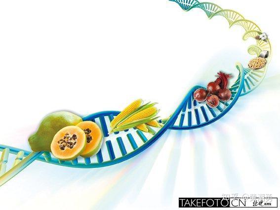 转基因生物的定义是:遗传物质通过非自然交配或非自然重组的方式发生