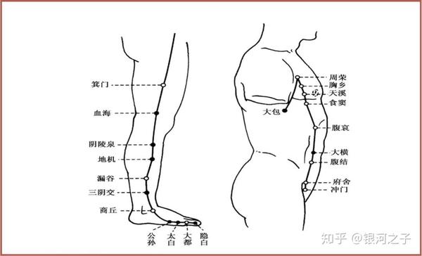 位置: 起于足大拇指内侧端,沿着内侧往上走经过内踝,沿着小腿内侧