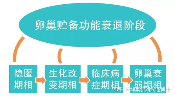 卵巢保养的正道在哪里?——挖掉早发性卵巢功能不全的