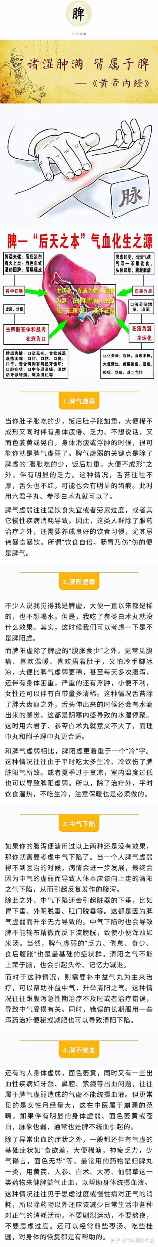 很多人都问我"我这么胖,是不是脾虚?我一直大便稀,是不是脾虚?