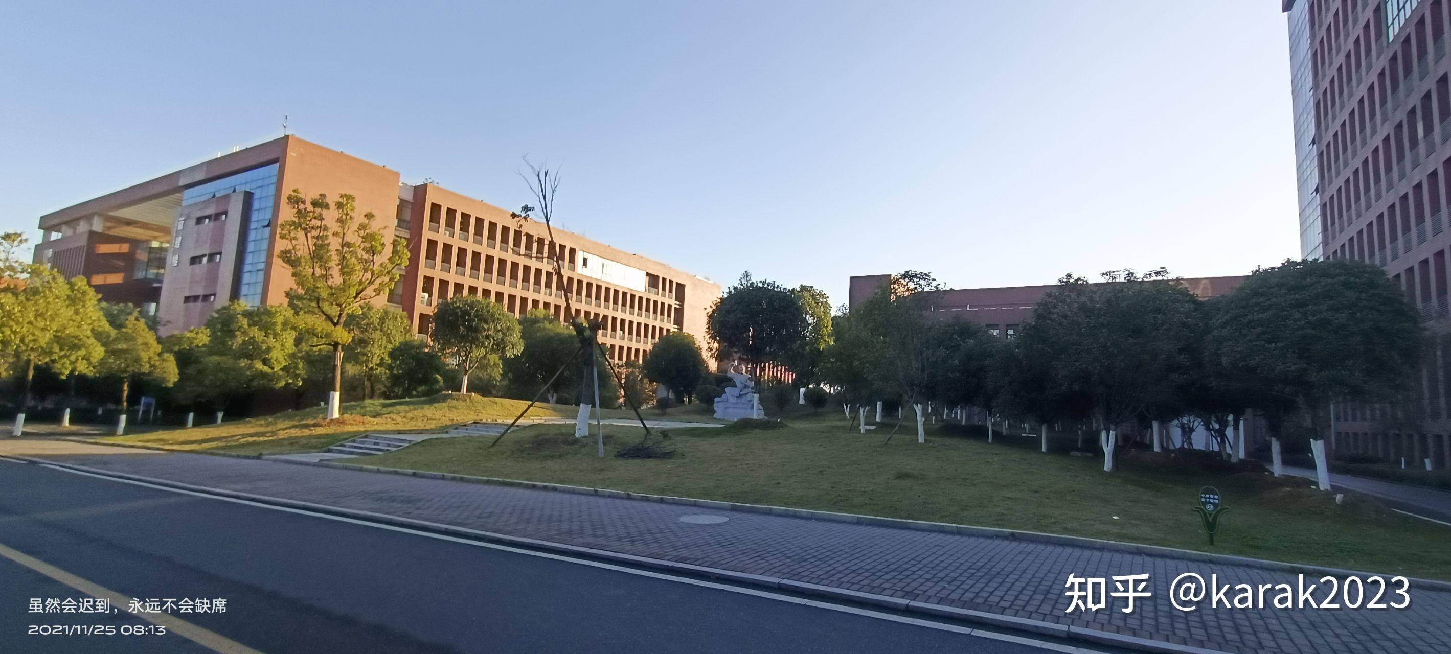 情况图书馆前面,灯光是暖色的,所以连植物都变了颜色湖南城市学院南门