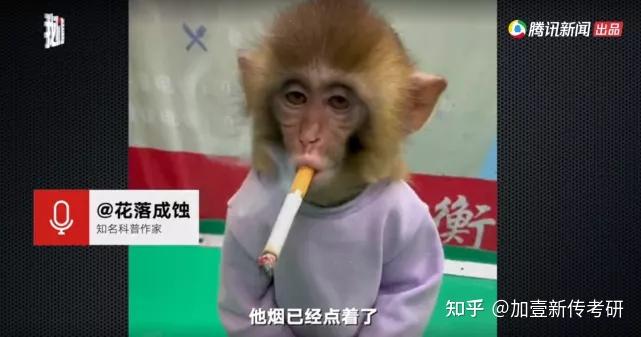对此,该账号私信回复新京报记者称:"只是摆拍通过猴子奉劝大家不要