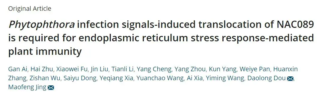 南京农业大学窦道龙团队揭示疫霉侵染信号激发内质网应激介导植物免疫