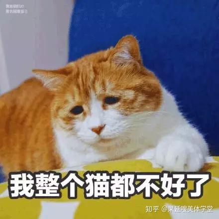几经折腾,筋疲力尽之后,终于体重反弹到了 原位.
