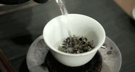 兰韵铁观音 | 好茶有话说,铁观音的魅力从未消失!