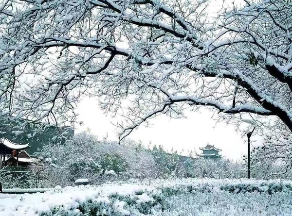 西安雪景已刷屏!这几个绝美赏雪地,一次性打包给你!美