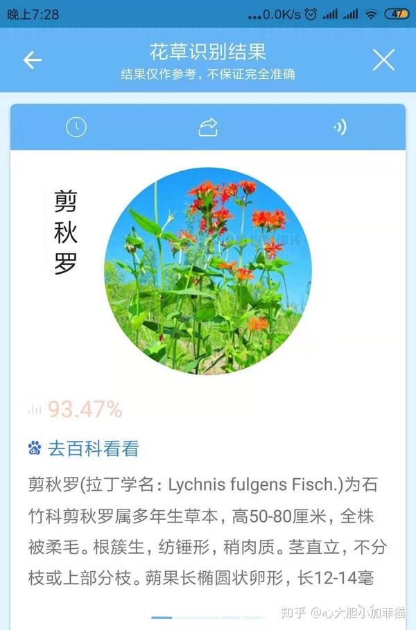 万物拍照识物 属于自己的贴身百科全书
