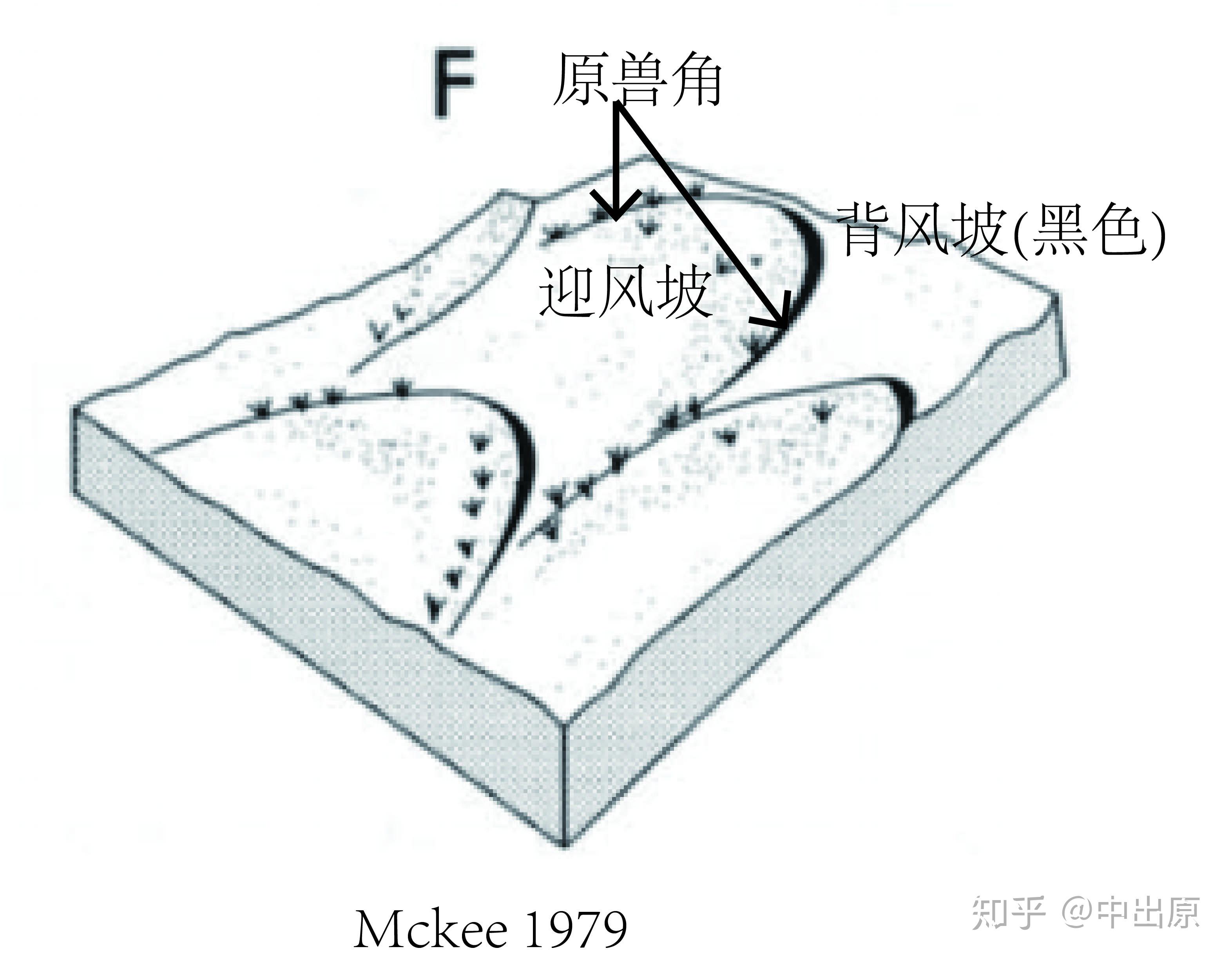 沙丘和抛物线沙丘的外形相似我该怎么区别新月形沙丘和抛物线形沙丘呢