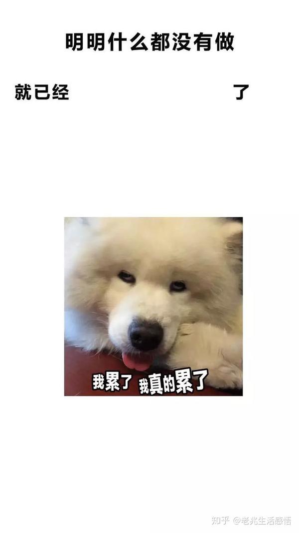 明明什么都没有做,却觉得很累