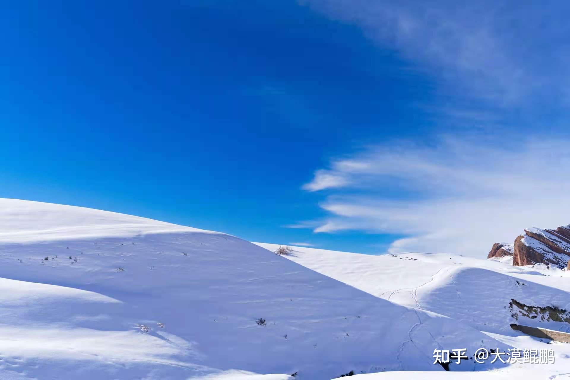 七绝龙江飞雪平水韵薛志鹏