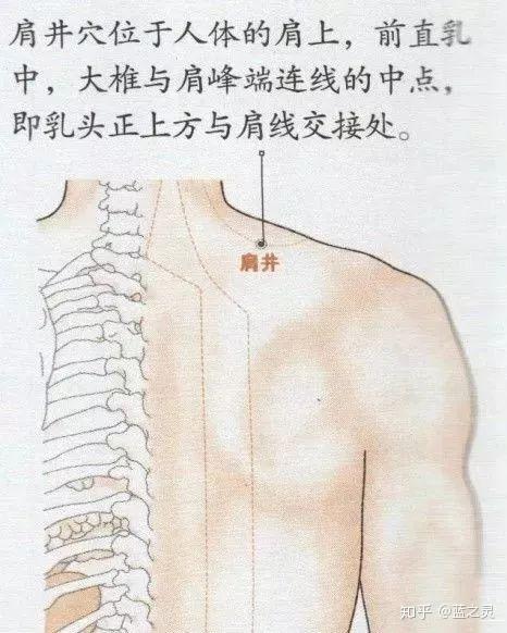 肩井穴: 动作要领: 直接用揉按,左手搭右肩,右手搭左肩.揉按5-8分钟.