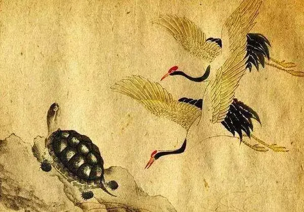 鹤与龟画的在一起的"龟鹤齐龄"龟鹤延年"图
