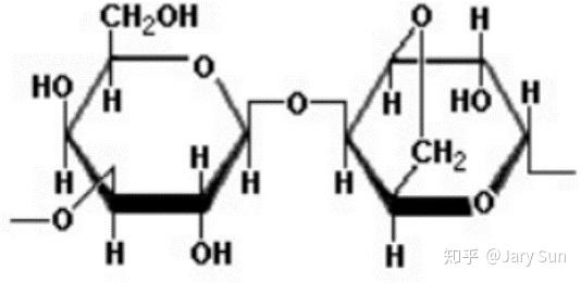 琼脂糖的结构