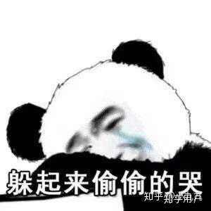 后来我就哭肿了眼睛去相亲了.