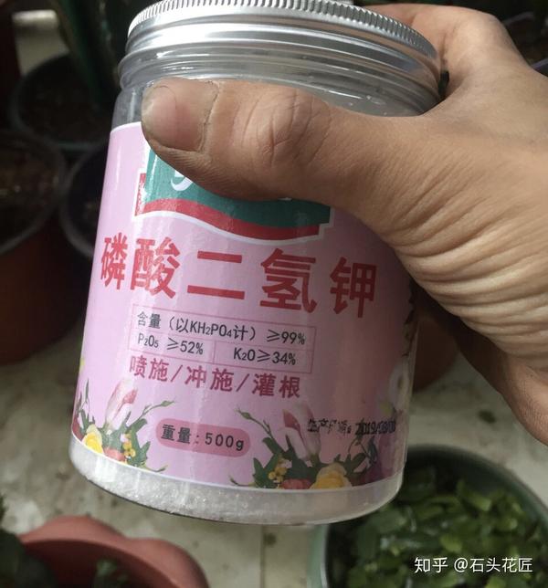 而在使用磷酸二氢钾的时候,大家至少要把它稀释到1:1500倍,如果是