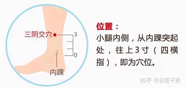 三阴交(位置:在内踝尖直上三寸,胫骨后缘 )