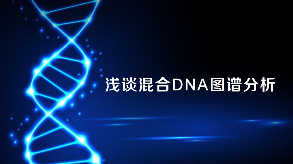 dna图谱