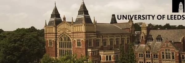 利兹大学商学院专业详细解析上
